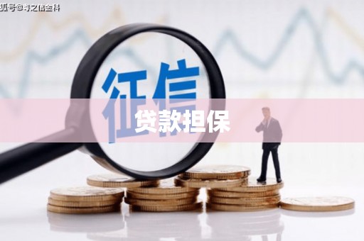 太保贷款担保