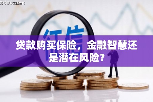 太保贷款购买保险，金融智慧还是潜在风险？