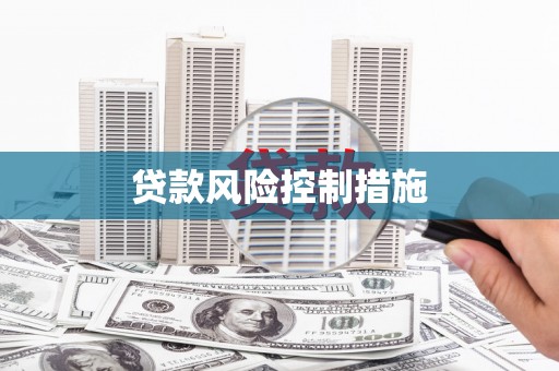 太保贷款风险控制措施