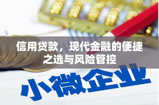 太保信用贷款，现代金融的便捷之选与风险管控