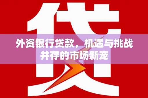 太保外资银行贷款，机遇与挑战并存的市场新宠