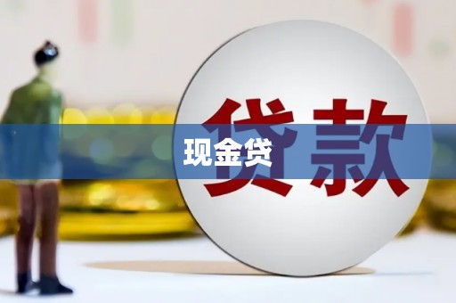 太保现金贷