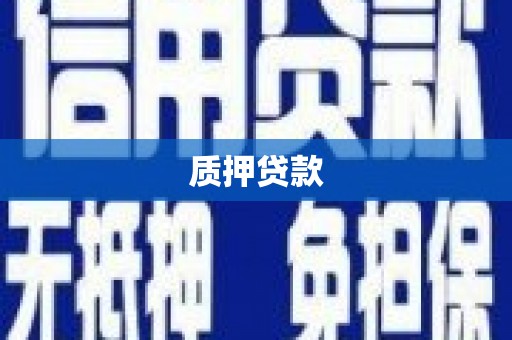 太保质押贷款
