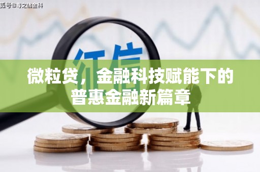 太保微粒贷，金融科技赋能下的普惠金融新篇章