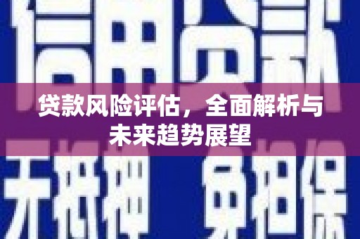 太保贷款风险评估，全面解析与未来趋势展望