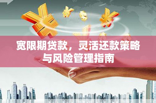 太保宽限期贷款，灵活还款策略与风险管理指南