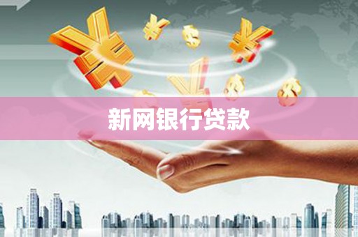 太保新网银行贷款