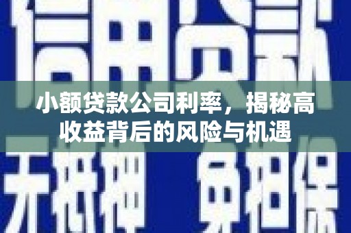 太保小额贷款公司利率，揭秘高收益背后的风险与机遇