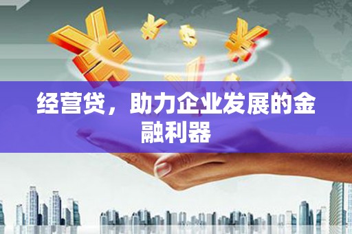 太保经营贷，助力企业发展的金融利器