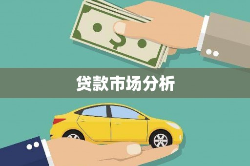 太保贷款市场分析