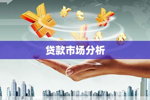 太保贷款市场分析