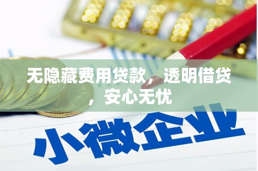 太保无隐藏费用贷款，透明借贷，安心无忧