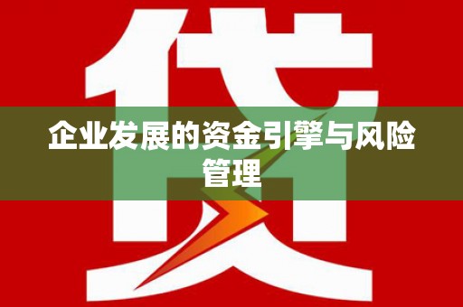 太保企业发展的资金引擎与风险管理