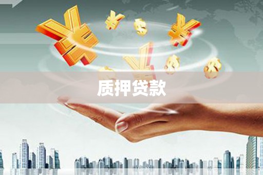 太保质押贷款