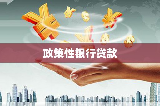 太保政策性银行贷款