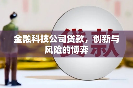 太保金融科技公司贷款，创新与风险的博弈