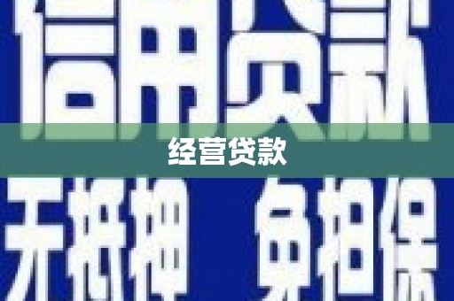 太保经营贷款