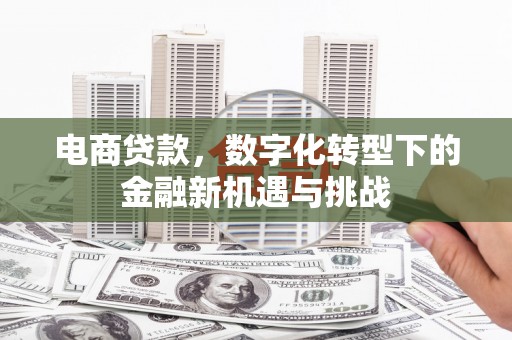 太保电商贷款，数字化转型下的金融新机遇与挑战