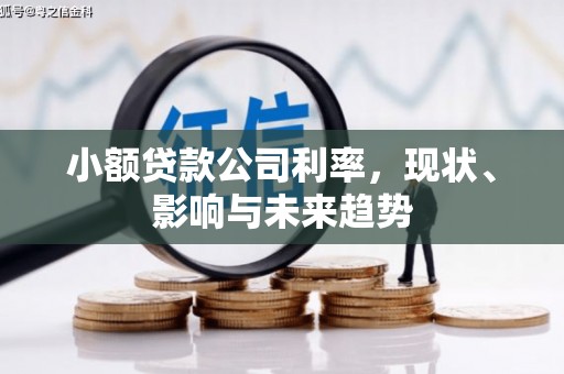 太保小额贷款公司利率，现状、影响与未来趋势