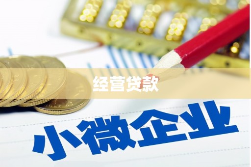 太保经营贷款