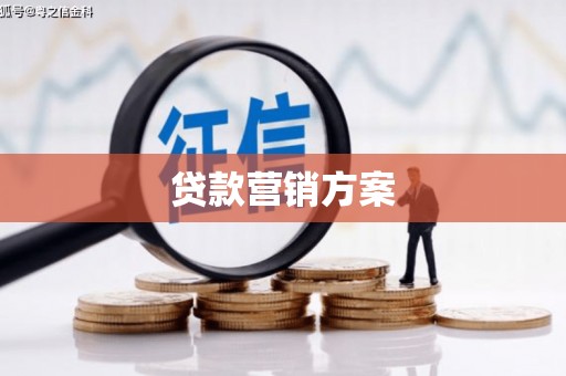 太保贷款营销方案