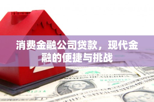 太保消费金融公司贷款，现代金融的便捷与挑战