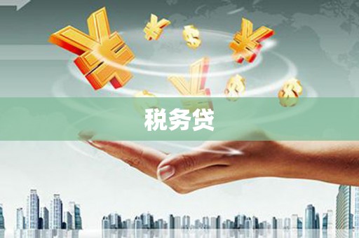 太保税务贷