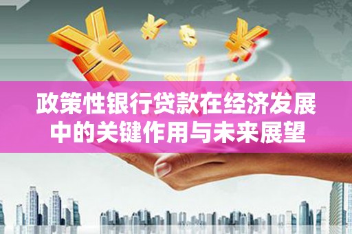 太保政策性银行贷款在经济发展中的关键作用与未来展望