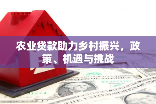 太保农业贷款助力乡村振兴，政策、机遇与挑战
