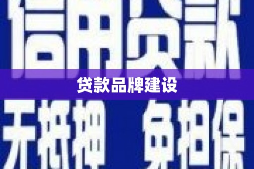 太保贷款品牌建设