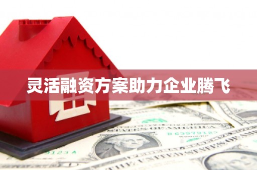 太保灵活融资方案助力企业腾飞