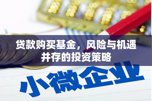 太保贷款购买基金，风险与机遇并存的投资策略