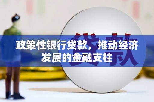 太保政策性银行贷款，推动经济发展的金融支柱
