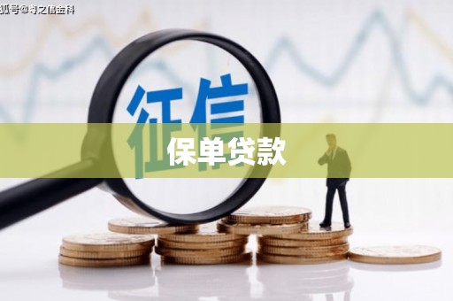 太保保单贷款