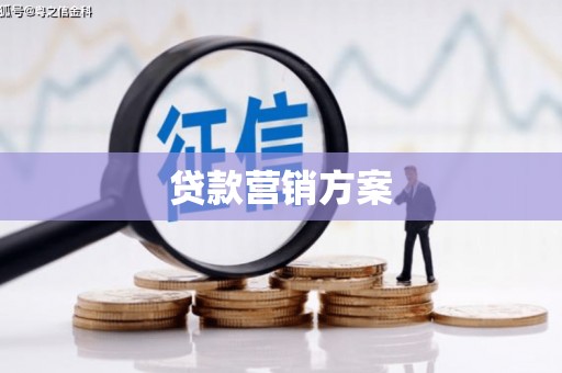 太保贷款营销方案