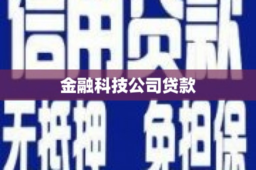 太保金融科技公司贷款