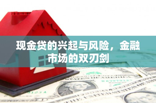 太保现金贷的兴起与风险，金融市场的双刃剑