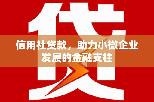 太保信用社贷款，助力小微企业发展的金融支柱