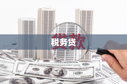 太保税务贷