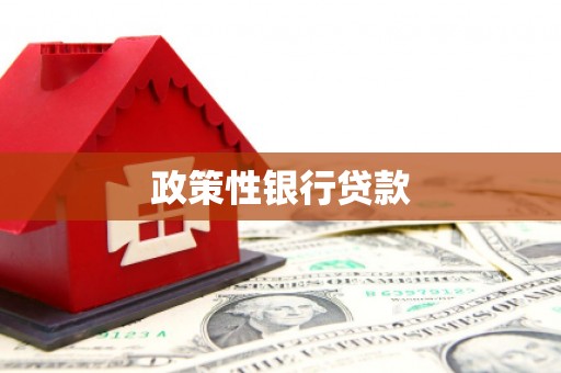 太保政策性银行贷款