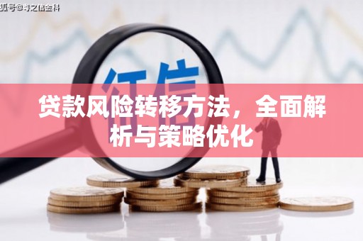 太保贷款风险转移方法，全面解析与策略优化