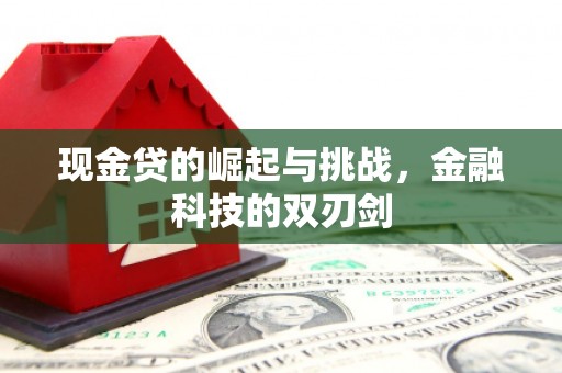 太保现金贷的崛起与挑战，金融科技的双刃剑