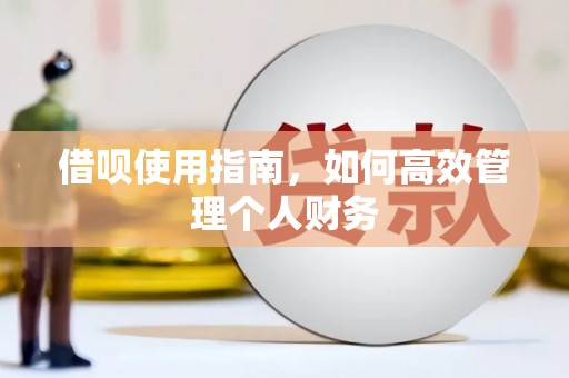 太保借呗使用指南，如何高效管理个人财务