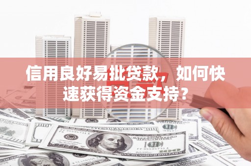 太保信用良好易批贷款，如何快速获得资金支持？