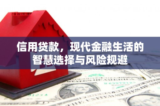 太保信用贷款，现代金融生活的智慧选择与风险规避