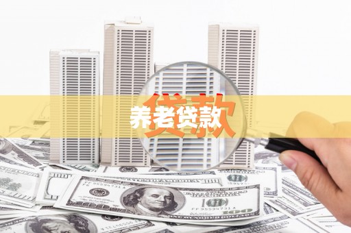 太保养老贷款
