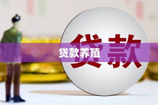 太保贷款养殖