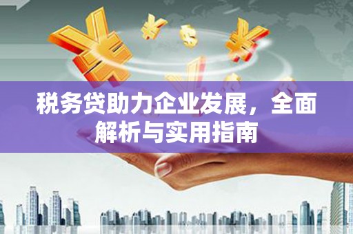太保税务贷助力企业发展，全面解析与实用指南