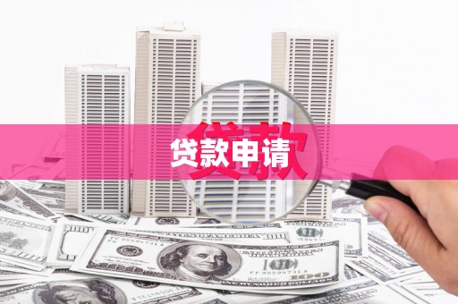 太保贷款申请