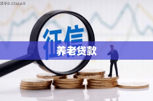 太保养老贷款